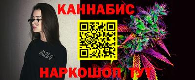 гашик Бийск