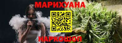 гашик Бийск