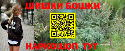 гашик Бийск