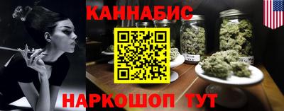 гашик Бийск