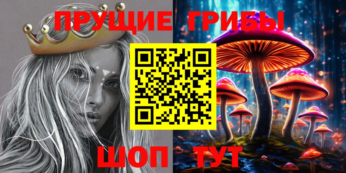 Камышлов  Псилоцибиновые грибы Cubensis  Псилоцибиновые грибы Psilocybe  Вход с VPN 